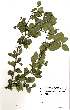  ( - OM1922)  @11 [ ] No Rights Reserved  Unspecified Unspecified