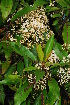  ( - OM2025)  @11 [ ] Unspecified (default): All Rights Reserved  Unspecified Unspecified