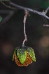  ( - OM2029)  @11 [ ] Unspecified (default): All Rights Reserved  Unspecified Unspecified