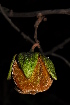  ( - OM2029)  @11 [ ] Unspecified (default): All Rights Reserved  Unspecified Unspecified