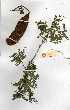  ( - OM0228)  @11 [ ] Copyright  - Unspecified
