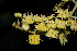  ( - OM_MvdB27)  @11 [ ] Unspecified (default): All Rights Reserved  Unspecified Unspecified