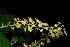  ( - OM_MvdB27)  @11 [ ] Unspecified (default): All Rights Reserved  Unspecified Unspecified