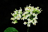  ( - OM0219)  @11 [ ] Unspecified (default): All Rights Reserved  Unspecified Unspecified