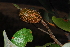  ( - OM1970)  @11 [ ] Unspecified (default): All Rights Reserved  Unspecified Unspecified