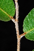  ( - RBN357)  @11 [ ] Unspecified (default): All Rights Reserved  Unspecified Unspecified