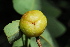  ( - RBN100.1)  @11 [ ] Unspecified (default): All Rights Reserved  Unspecified Unspecified