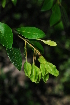  ( - OM_MvdB17)  @11 [ ] Unspecified (default): All Rights Reserved  Unspecified Unspecified