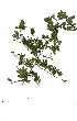  ( - RBN359)  @11 [ ] Copyright  - Unspecified