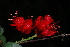 ( - OM0290)  @11 [ ] Unspecified (default): All Rights Reserved  Unspecified Unspecified