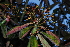  ( - OM0757)  @11 [ ] Unspecified (default): All Rights Reserved  Unspecified Unspecified