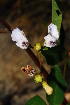  ( - OM0528)  @11 [ ] Unspecified (default): All Rights Reserved  Unspecified Unspecified