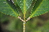  ( - OM0244)  @11 [ ] Unspecified (default): All Rights Reserved  Unspecified Unspecified