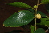  ( - OM1383)  @11 [ ] Unspecified (default): All Rights Reserved  Unspecified Unspecified