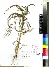  ( - Du_Toit_GJ_4529)  @11 [ ] No Rights Reserved  Unspecified Unspecified
