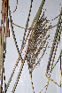  ( - KNP014)  @11 [ ] Unspecified (default): All Rights Reserved  Unspecified Unspecified