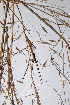  ( - KNP029)  @11 [ ] Unspecified (default): All Rights Reserved  Unspecified Unspecified