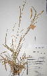  ( - KNP088)  @11 [ ] Unspecified (default): All Rights Reserved  Unspecified Unspecified
