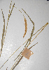  ( - KNP088)  @11 [ ] Unspecified (default): All Rights Reserved  Unspecified Unspecified