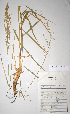  ( - KNP103)  @11 [ ] Unspecified (default): All Rights Reserved  Unspecified Unspecified