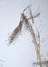  ( - KNP111)  @11 [ ] Unspecified (default): All Rights Reserved  Unspecified Unspecified