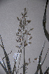  ( - KNP132)  @11 [ ] Unspecified (default): All Rights Reserved  Unspecified Unspecified
