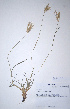  ( - KNP157)  @11 [ ] Unspecified (default): All Rights Reserved  Unspecified Unspecified