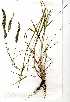  ( - OM0715)  @11 [ ] Copyright  - Unspecified
