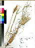  ( - PRE258)  @11 [ ] No Rights Reserved (2011) Olivier Maurin University of Johannesburg