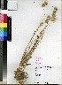  ( - PRE310)  @11 [ ] No Rights Reserved  Unspecified Unspecified