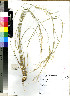  ( - PRE324)  @11 [ ] No Rights Reserved  Olivier Maurin University of Johannesburg
