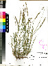  ( - PRE350)  @11 [ ] No Rights Reserved  Olivier Maurin University of Johannesburg