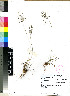  ( - PRE356)  @11 [ ] No Rights Reserved  Olivier Maurin University of Johannesburg