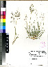  ( - PRE365)  @11 [ ] No Rights Reserved  Olivier Maurin University of Johannesburg