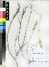  ( - PRE385)  @11 [ ] Unspecified (default): All Rights Reserved  Unspecified Unspecified