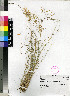  ( - PRE433)  @11 [ ] Unspecified (default): All Rights Reserved  Unspecified Unspecified