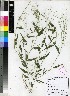  ( - PRE478)  @11 [ ] Unspecified (default): All Rights Reserved  Unspecified Unspecified