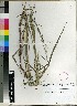  ( - PRE500)  @11 [ ] Unspecified (default): All Rights Reserved  Unspecified Unspecified