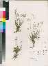  ( - PRE531)  @11 [ ] No Rights Reserved  Unspecified Unspecified