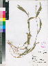  ( - PRE541)  @11 [ ] No Rights Reserved  Unspecified Unspecified
