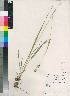  ( - PRE543)  @11 [ ] No Rights Reserved  Unspecified Unspecified