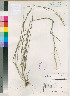  ( - PRE547)  @11 [ ] No Rights Reserved  Unspecified Unspecified