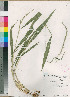  ( - PRE548)  @11 [ ] No Rights Reserved  Unspecified Unspecified
