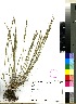  ( - PRE570)  @11 [ ] No Rights Reserved  Unspecified Unspecified