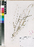  ( - PRE583)  @11 [ ] No Rights Reserved  Unspecified Unspecified