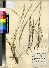  ( - PRE609)  @11 [ ] No Rights Reserved  Unspecified Unspecified