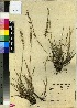  ( - PRE611)  @11 [ ] No Rights Reserved  Unspecified Unspecified