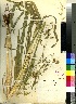  ( - PRE656)  @11 [ ] No Rights Reserved  Unspecified Unspecified