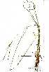  ( - YBK002)  @11 [ ] Copyright  - Unspecified