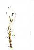 ( - YBK013)  @11 [ ] Copyright  - Unspecified